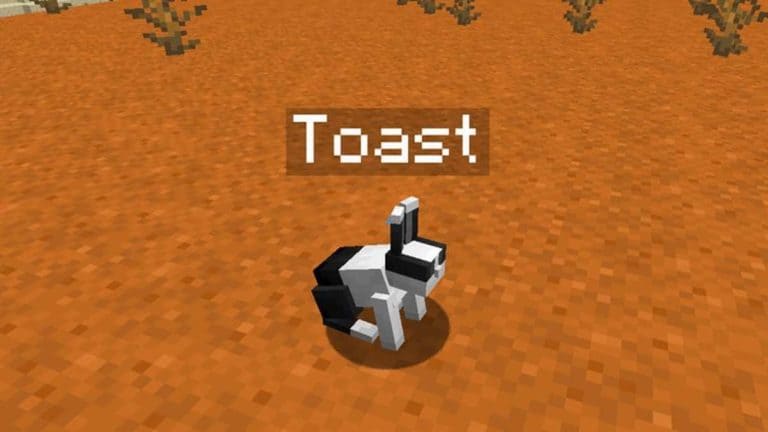 Toast the Bunny Minecraft Name Tag