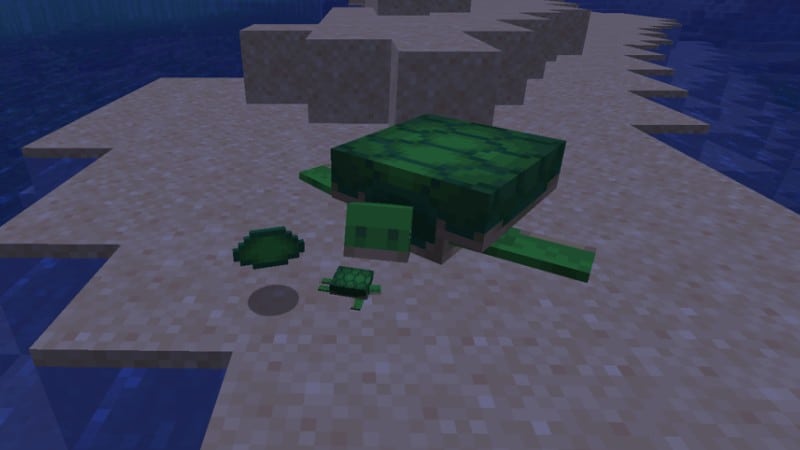 Minecraft Turtle Shield