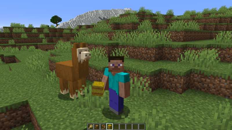 What do llamas eat in Minecraft?