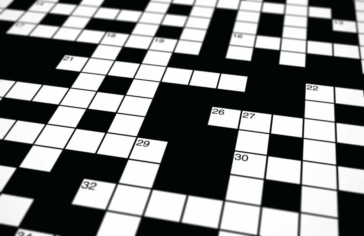 Fighting Spirit Crossword Clue