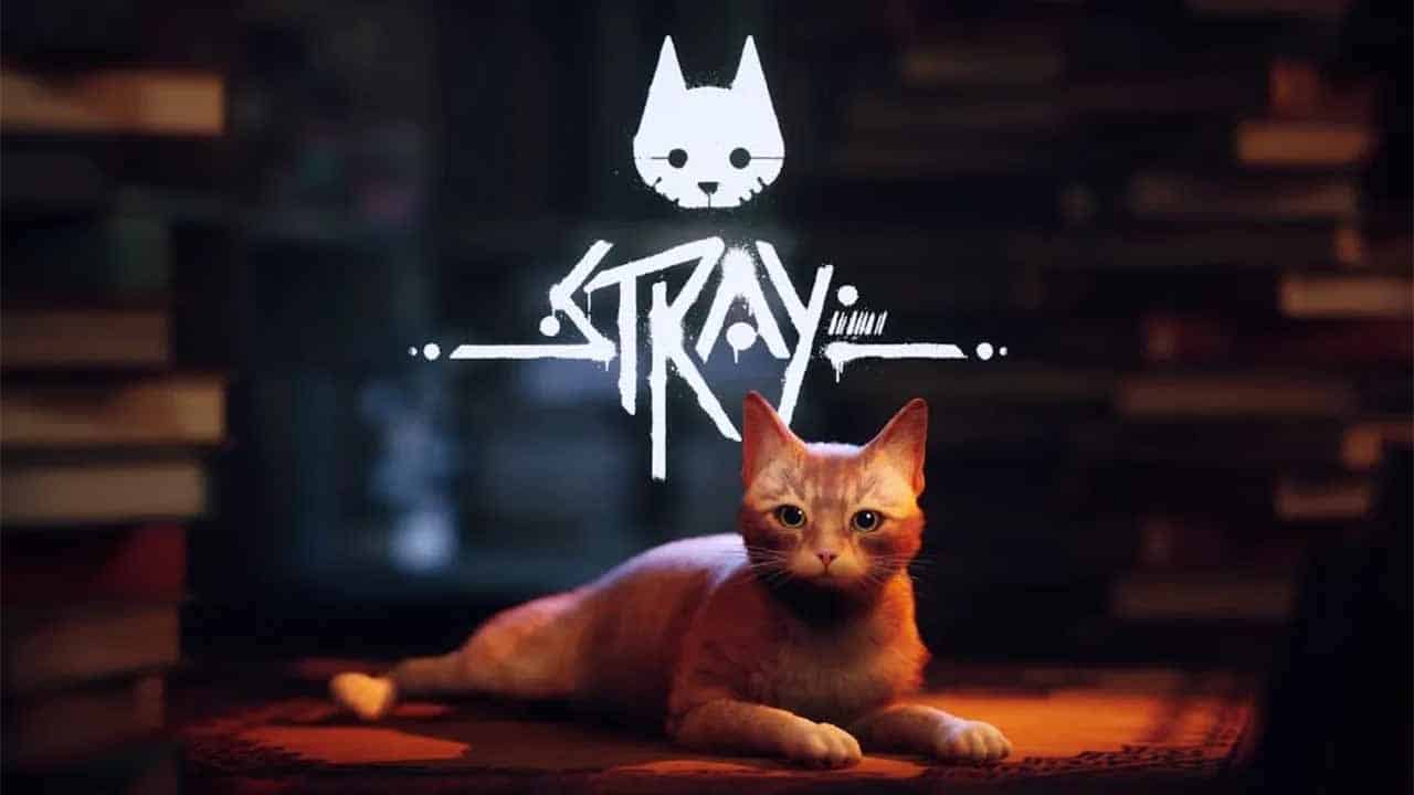 STRAY, PS4 - PS4 Pro - PS5, Graphics Comparison