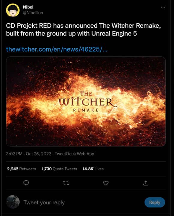Witcher Remake Announcement Nibellion