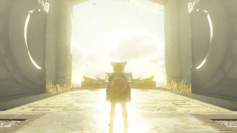 Is Zelda Tears of the Kingdom co-op?