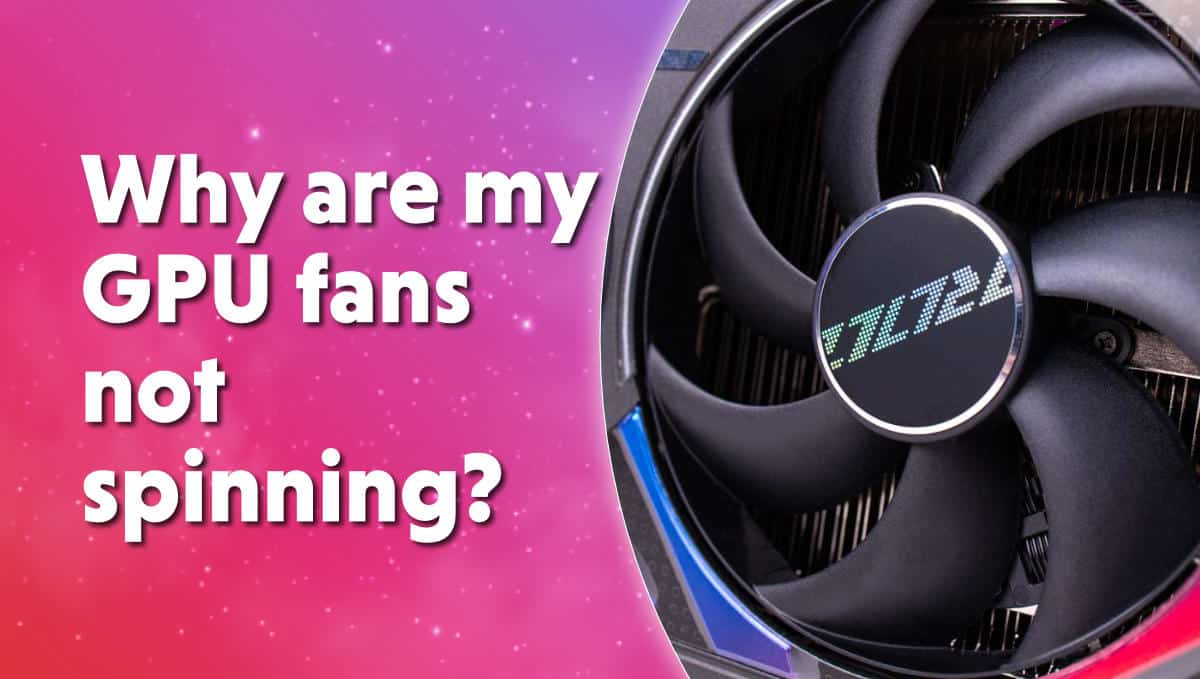 Why are my GPU spinning? |