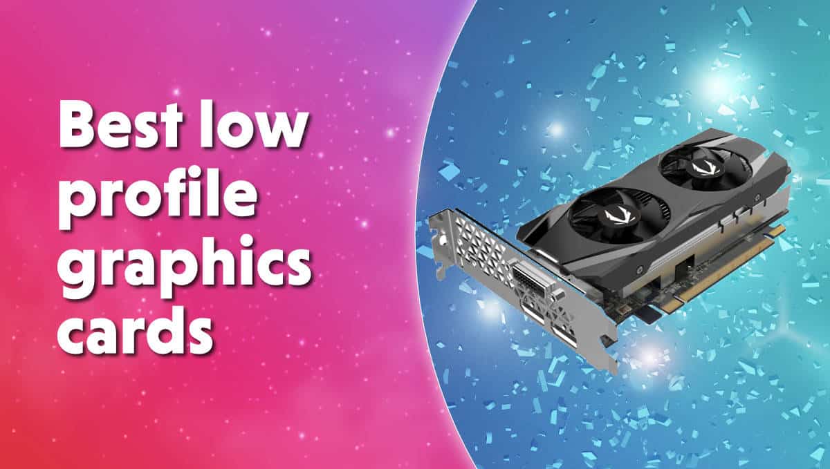 forsvinde maternal Ugyldigt The best low profile graphics cards (GPUs) in 2023 | WePC