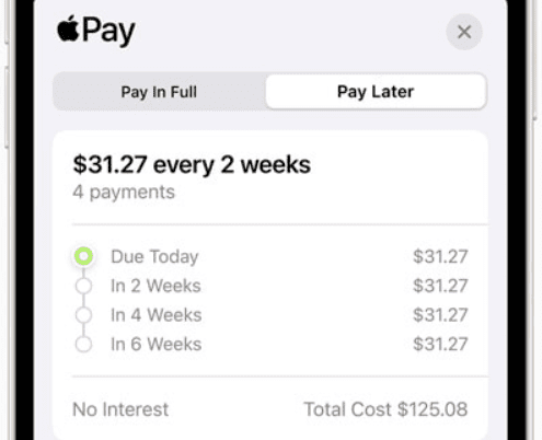 How to use Apple Buy Now, Pay Later - apple pay now on screen instructions