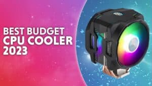 best budget cooler