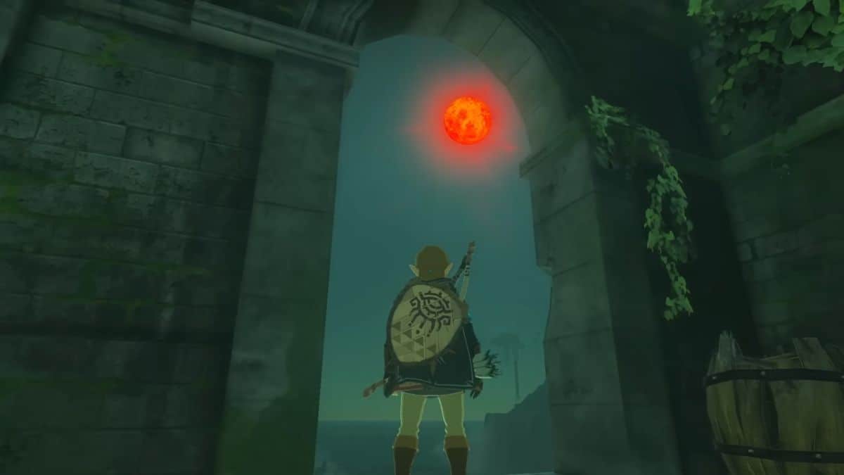 Link – The Legend of Zelda: Tears of the Kingdom – amiibo - Video Game Depot