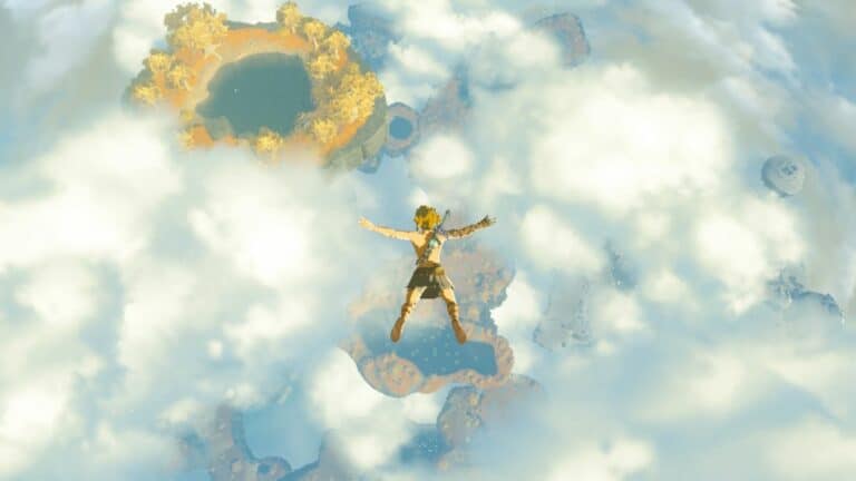 Tears of the Kingdom Skydiving