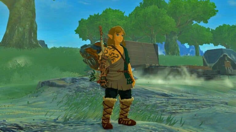 The Legend of Zelda Tears of The Kingdom Link standing wet