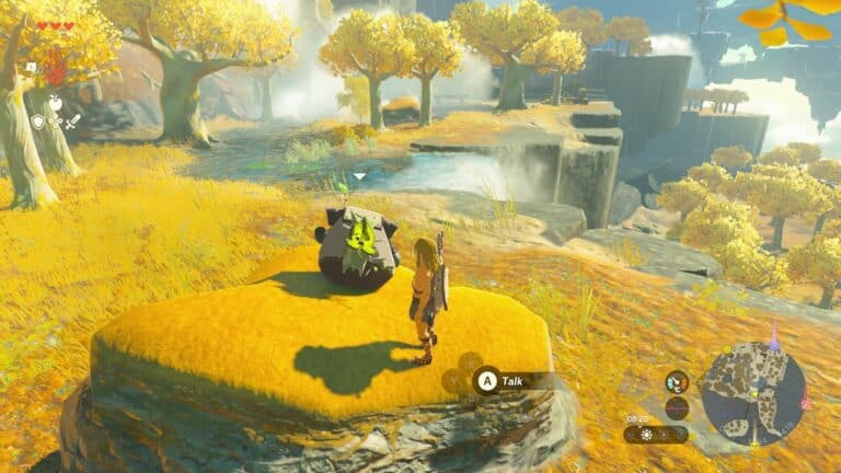 The Legend of Zelda Tears of The Kingdom on hill with rock