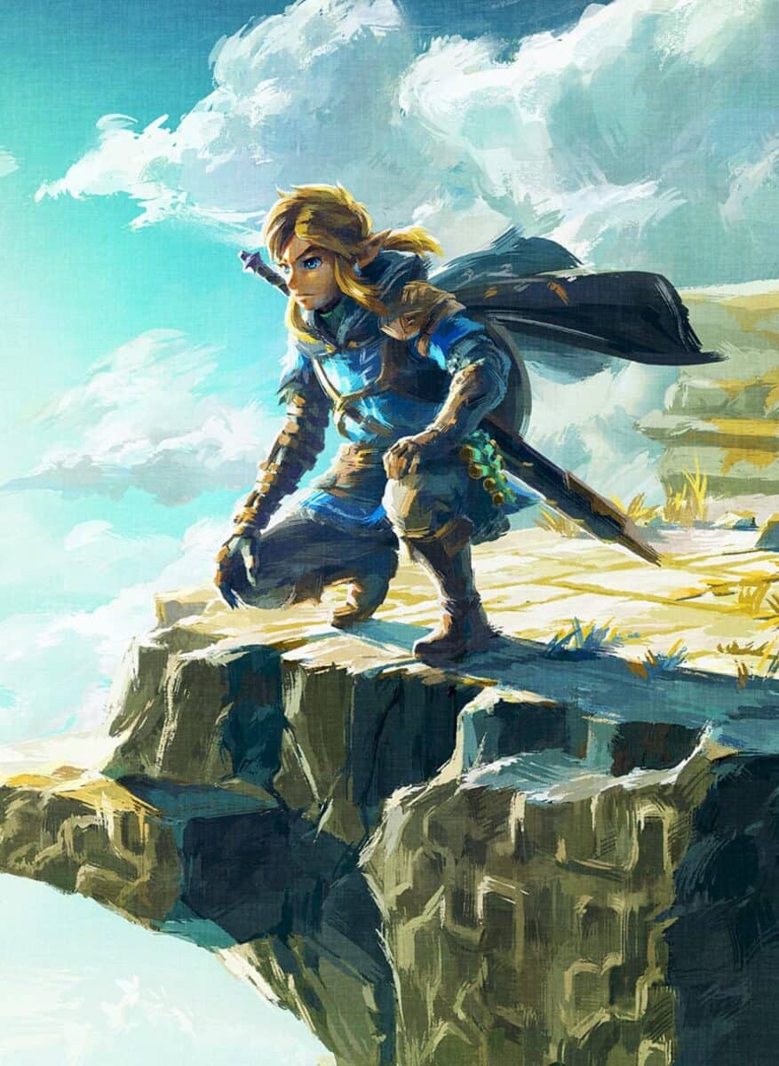 The Legend of Zelda Tears of the Kingdom Link on Mountain