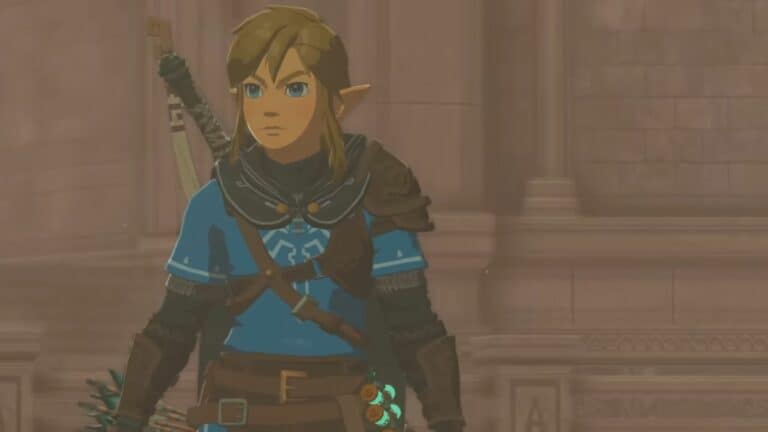 Zelda Tears of the kingdom Link