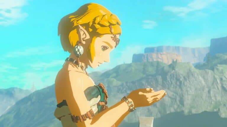 Zelda Tears of the kingdom Zelda Tear