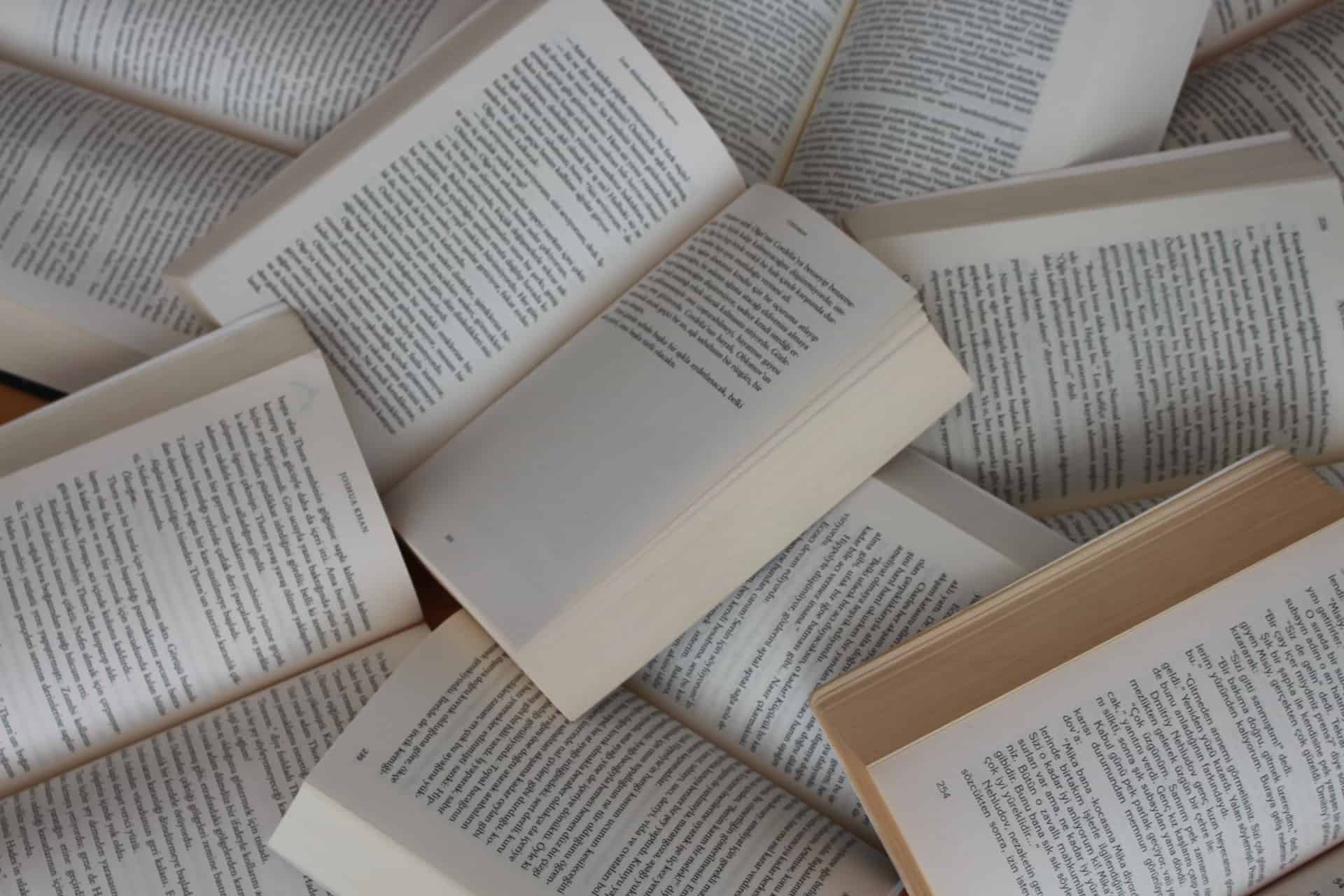 how to use Novel AI image generator