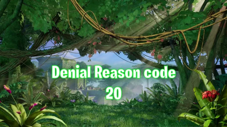 Denial reason code 20 fortnite