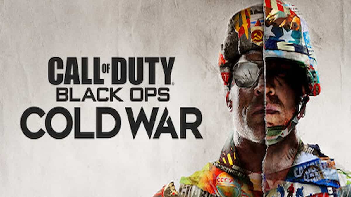 Activision deals blow to Black Ops Cold War hackers