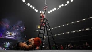 AEW Fight Foreve woman on ladder