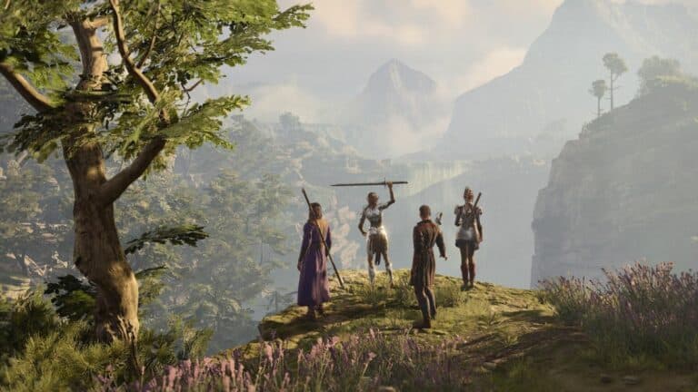 Baldur's Gate 3 Adventurers looking over grassy cliff