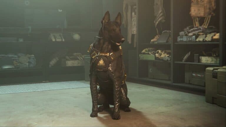 mw2 battle buddy black german shepard dog in tactical gear sits in locker room