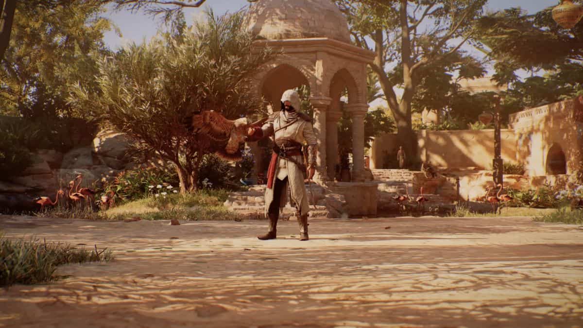 Assassins Creed Mirage Falcon Landing On Balsims Arm