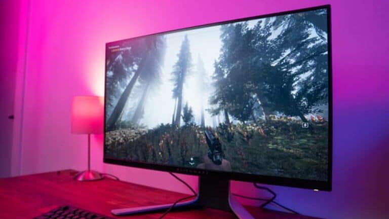 IPS vs LED monitors