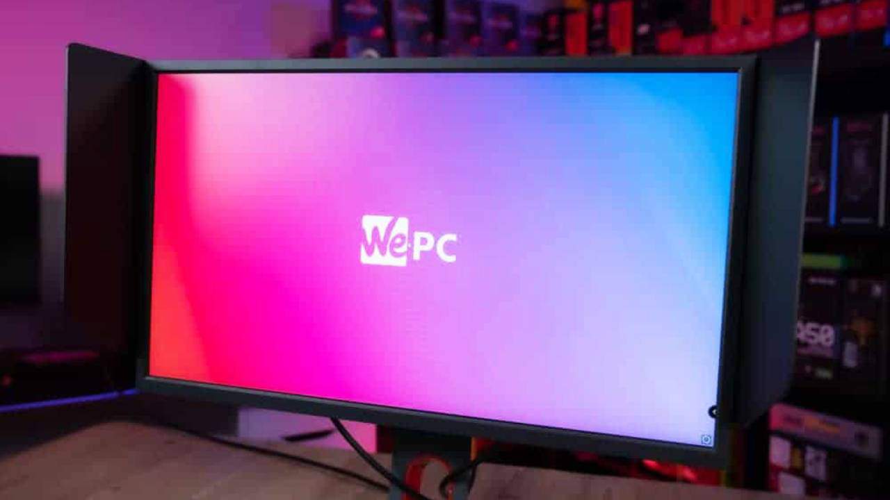 What monitors do pro gamers use