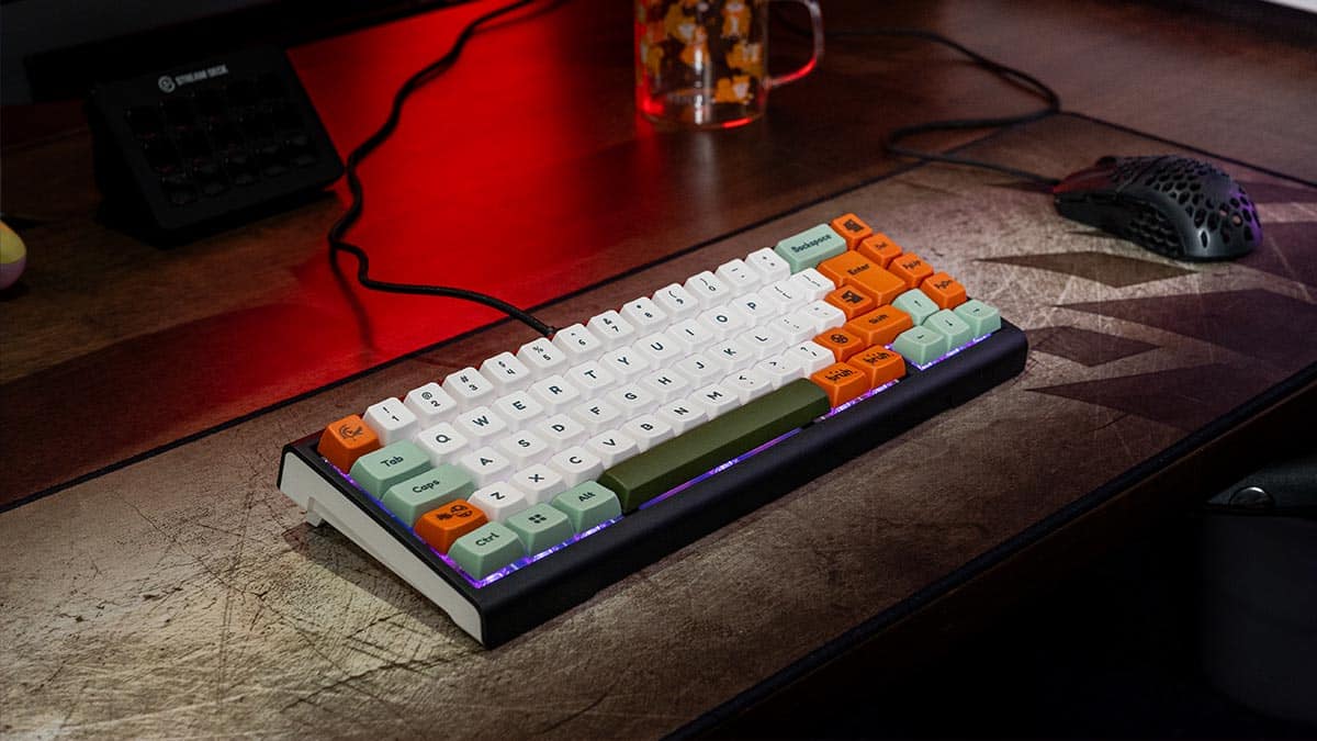 Ducky ProjectD Tinker 65 wired keyboard: first look