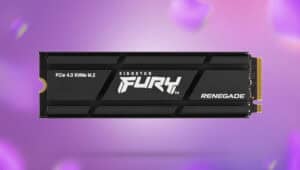 Kingston Fury Renegade 1